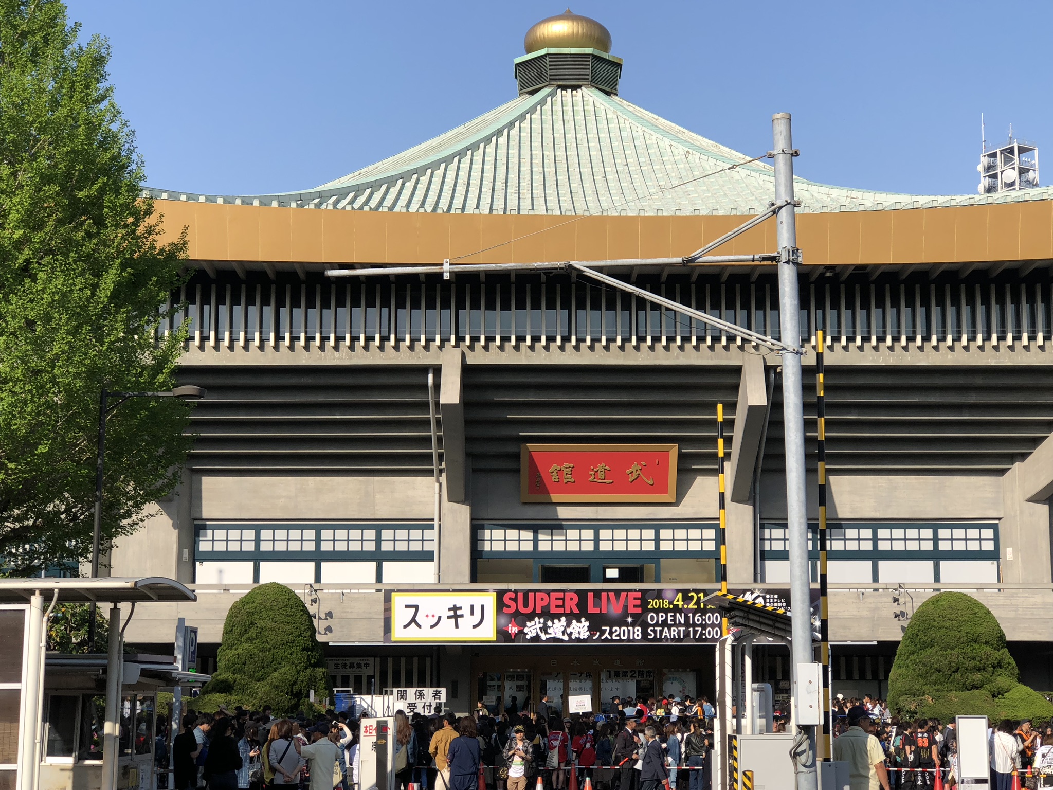 熱気あふれる！スッキリ SUPER LIVE in 武道館ッス！ 猫のいる税理士事務所 河津牧子のブログ